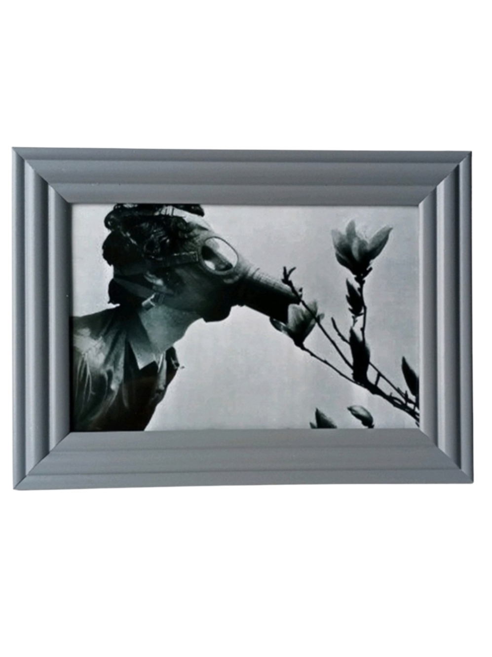 Vintage WW2 GasMask Flowers Oddity Retro HomeDecor